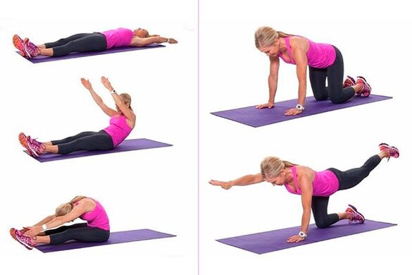 Exercises for the spine