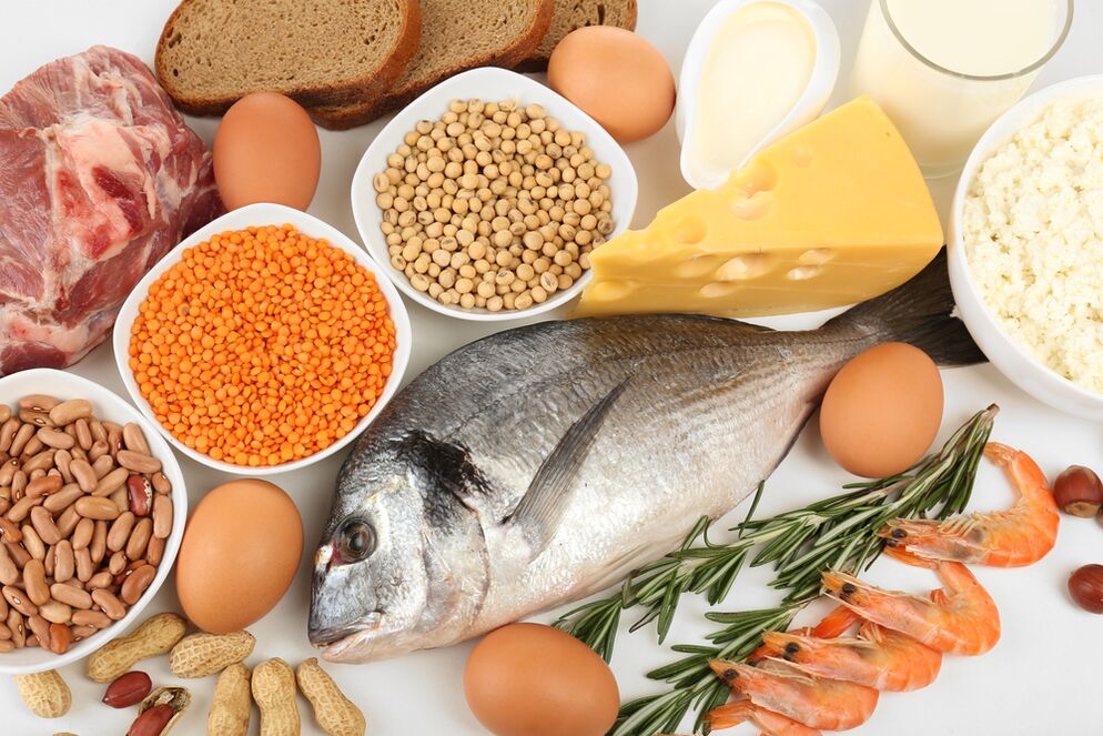 Characteristics of a protein diet
